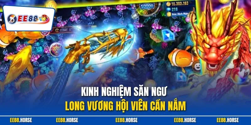 Kinh nghiệm săn ngư Long Vương hội viên cần nắm